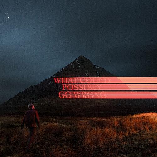 Dominic Fike- What Could Possibly Go Wrong ( Vinyl )
