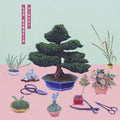 Los Bons is- Hinoki ( Vinyl )