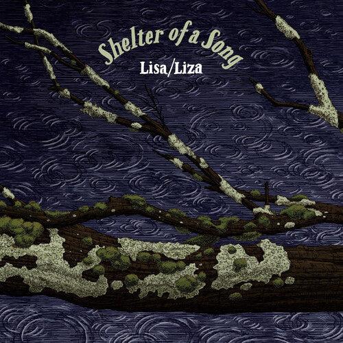 Shelter Of A Song ( Vinyl )