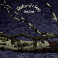 Shelter Of A Song ( Vinyl )