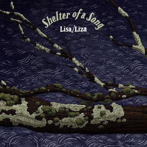 Shelter Of A Song ( Vinyl )