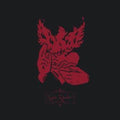 Crippled Black Phoenix- Night Raider ( Vinyl )