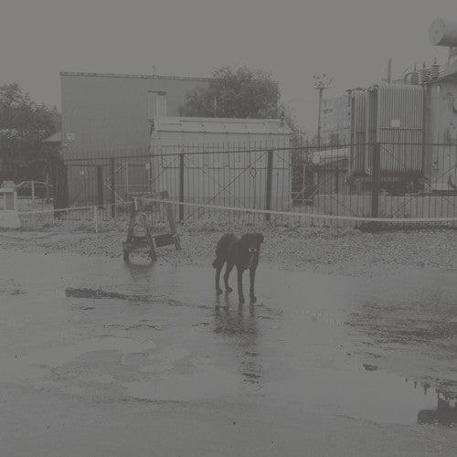 Nivhek- After Its Own Death / Walking In A Spiral Towards The House ( Vinyl )