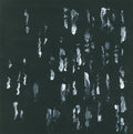 Sightings- Amusers and Puzzlers ( Vinyl )