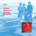 Lilys- A Brief History Of Amazing Letdowns ( Vinyl )