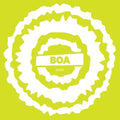 BoA- Sus033 ( Vinyl )