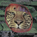 Ghostbusters VHS- Resistance ( Vinyl )