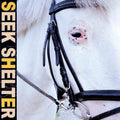 Iceage- Seek Shelter [LP] ( Vinyl )
