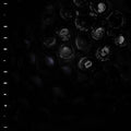Crumb- Ice Melt ( Vinyl )