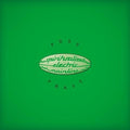 Spiritualized- Pure Phase ( Vinyl )