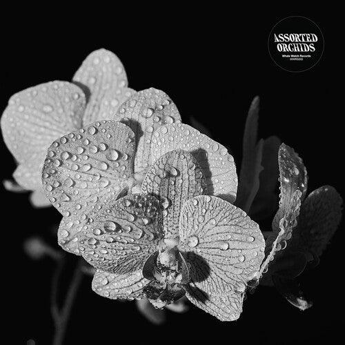 Assorted Orchids- Assorted Orchids ( Vinyl )