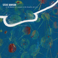 Steve Dawson- At The Bottom Of A Canyon In The Branches Of Tree ( Vinyl )