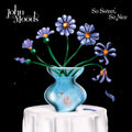 John Moods- So Sweet So Nice ( Vinyl )