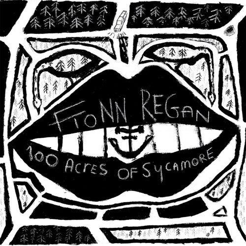 Fionn Regan- 100 Acres Of Sycamore ( Vinyl )