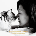 Miyuki Hatakeyama- Dive Into Your Mind ( Vinyl )