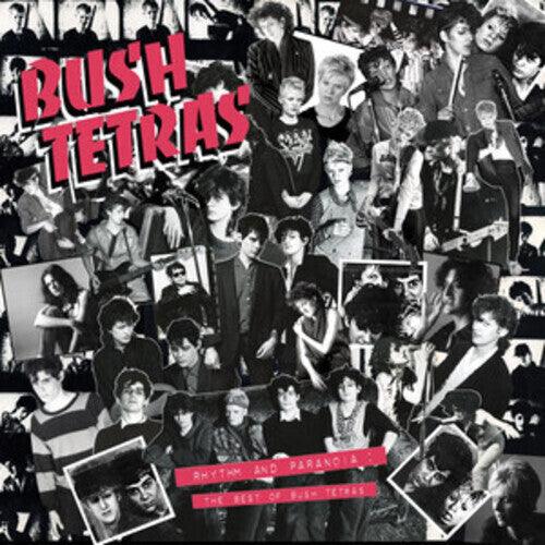 Bush Tetras- Rhythm & Paranoia: The Best of Bush Tetras ( Vinyl )