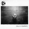 Discharming Man- Pole & Aurora ( Vinyl )