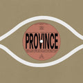 Bartees Strange- Province / Ever New ( Vinyl )