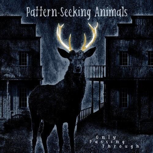 Pattern-Seeking Animals- Only Passing Through ( Vinyl )