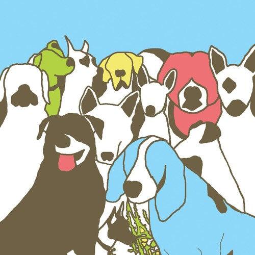 The Format- Dog Problems ( Vinyl )