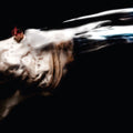 Putochinomaricon- Jaja Equisde - Distopia Aburrida - White with Red Splatter ( Vinyl )