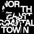 The Life- North East Coastal Town ( Vinyl )