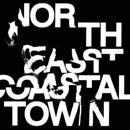 The Life- North East Coastal Town ( Vinyl )