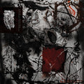 Hissing- Hypervirulence Architecture ( Vinyl )