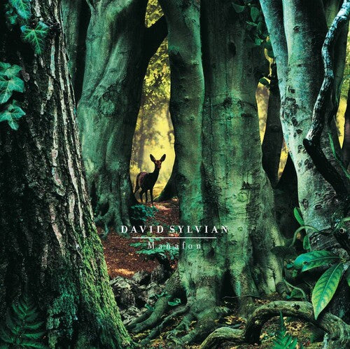 David Sylvian- Manafon ( Vinyl )