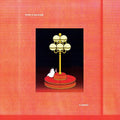 Spirit in the Room- Flamingo ( Vinyl )