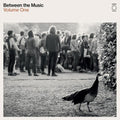 Various Artists- End Of The Road Presents: Between The Music / Var ( Vinyl )
