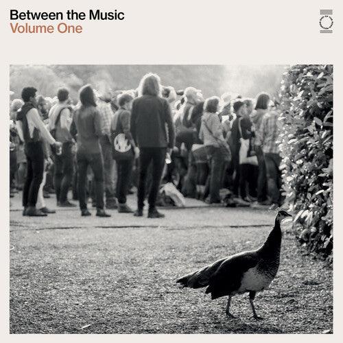 Various Artists- End Of The Road Presents: Between The Music / Var ( Vinyl )