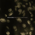 Kristin Hersh- Wyatt At The Coyote Palace ( Vinyl )