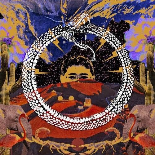 Stone House on Fire- Neverending Cycle ( Vinyl )