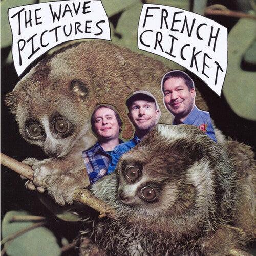 The Wave Pictures- French Cricket ( Vinyl )