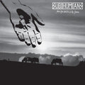 The Subhumans- From The Cradle To The Grave ( Vinyl )