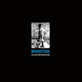 Brandtson- Fallen Star Collection ( Vinyl )