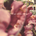 Beta Radio- Year Of Love [LP] ( Vinyl )