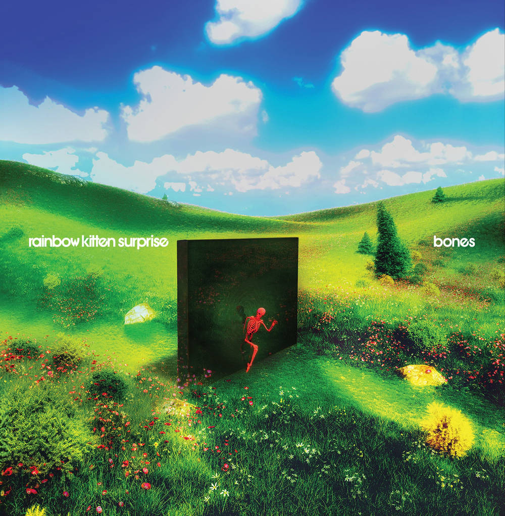 Rainbow Kitten Surprise- bones ( Vinyl )