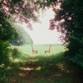 Ratboys- Singin' to an Empty Chair [Indie Exclusive Autographed opaque green color 2LP] ( Vinyl )