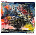 Mute Duo- Migrant Flocks ( Vinyl )