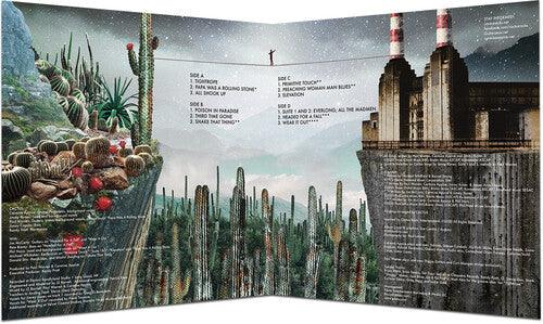 Cactus- Tightrope ( Vinyl )