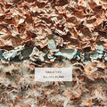 Cable Ties- All Her Plans (Indie Exclusive Vinyl) ( Vinyl )