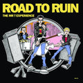 The Mr. T Experience- Road To Ruin ( Vinyl )