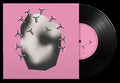 Bruchero Nei Pascoli- Ghicci Ghicci ( Vinyl )