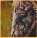 Spirit of the Beehive- Pleasure Suck ( Vinyl )