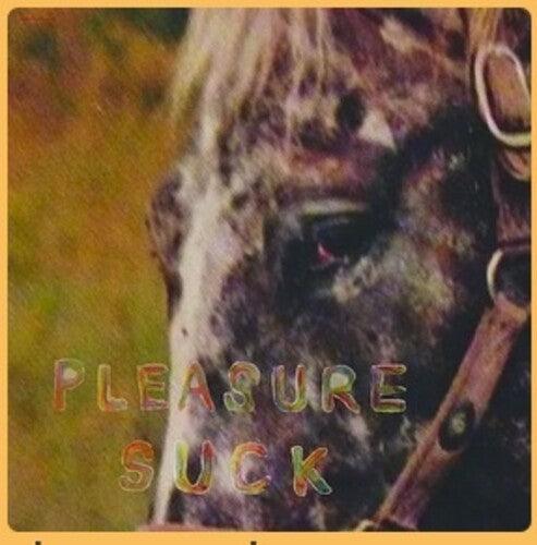 Spirit of the Beehive- Pleasure Suck ( Vinyl )