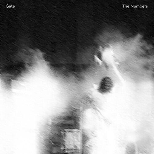 The Gate- The Numbers ( Vinyl )