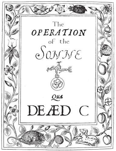 The Dead C- Operation Of The Sonne ( Vinyl )