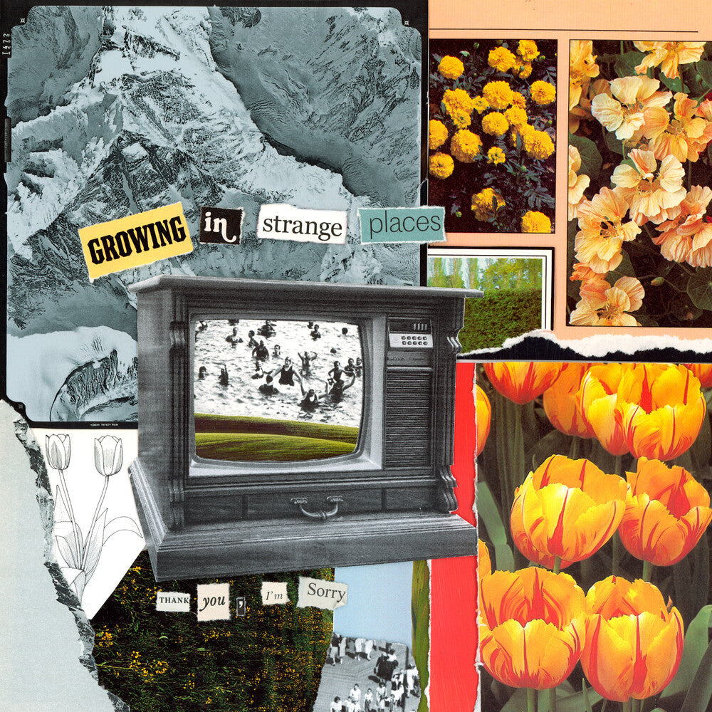 Thank You, I'm Sorry- Growing In Strange Places - Orange Crush [Colored Vinyl] ( Vinyl )